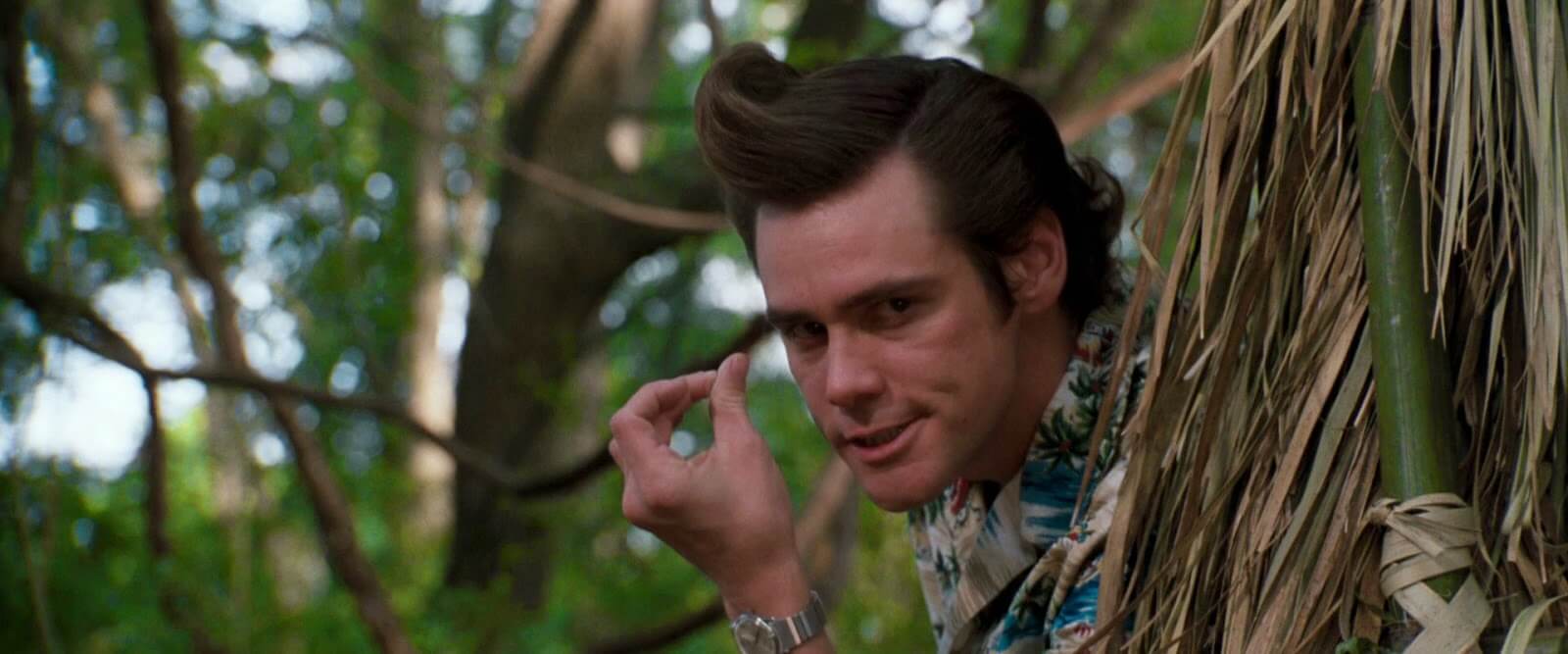 ACE VENTURA: WHEN NATURE CALLS - BUDALA DEDEKTİF AFRİKA'DA Ace Ventura: Pet Detective’in devam filminde Jim Carrey yine başrolde… Evcil hayvan dedektifi Ace’nin görev yeri bu sefer Afrika’dır. Görevi ise kaşif Fulton Greenwall ve kabileler için çok önemli olan beyaz yarasayı aramaktır. Ace kendini Wachootoo ve Wachati kabilesi arasındaki savaşın içinde bulacaktır.