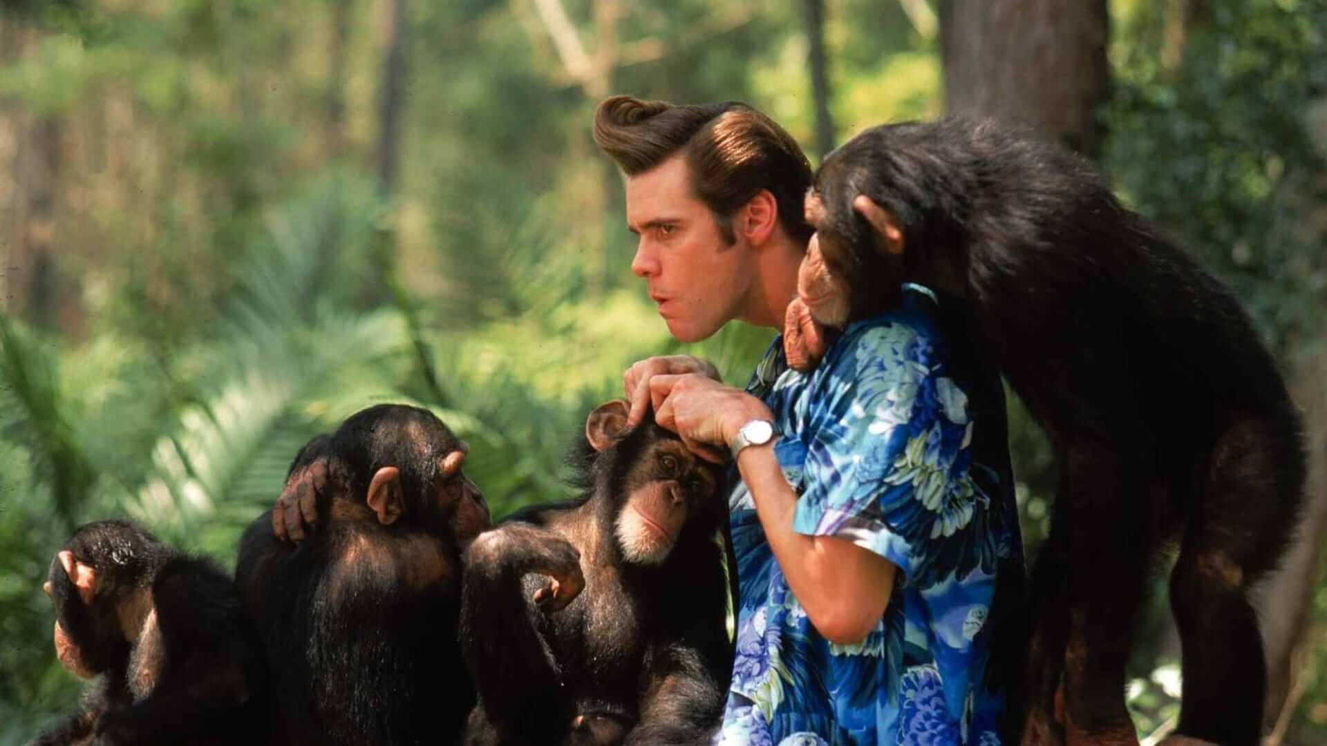 ACE VENTURA: WHEN NATURE CALLS - BUDALA DEDEKTİF AFRİKA'DA Ace Ventura: Pet Detective’in devam filminde Jim Carrey yine başrolde… Evcil hayvan dedektifi Ace’nin görev yeri bu sefer Afrika’dır. Görevi ise kaşif Fulton Greenwall ve kabileler için çok önemli olan beyaz yarasayı aramaktır. Ace kendini Wachootoo ve Wachati kabilesi arasındaki savaşın içinde bulacaktır.