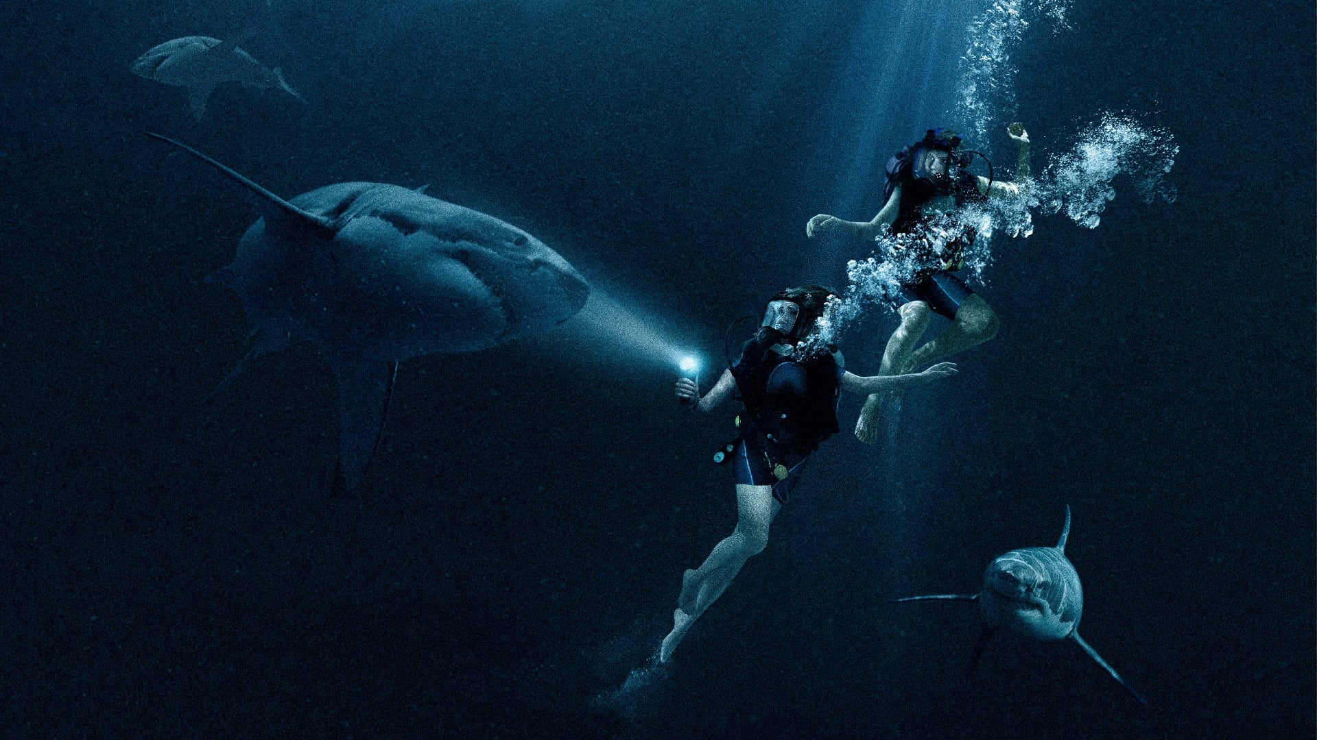 47 METERS DOWN - DENİZDE DEHŞET Meksika'da tatile gelen iki kız kardeş Lisa ve Kate köpek balıklarını izlemek için bir kafese girerler. Gözlem kafesinde bir sorun olur ve denizin 47 metre altında adeta sıkışıp kalırlar. Etraflarında Büyük beyaz köpek balıkları dolaşmaktadır ve yüzeye çıkmak için 1 saatten az zamanları vardır aynı zamanda oksijenleri de gittikçe azalmaktadır.