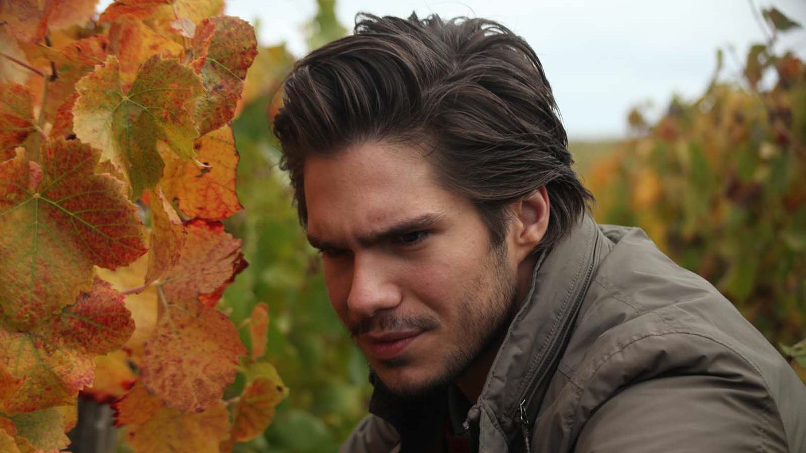 BACK TO BURGUNDY - AİLE BAĞI 10 yıl dünyayı dolaştıktan sonra Jean doğup büyüdüğü kasabaya geri döner. Babası hastalanmıştır. Kız kardeşi Juliette ve erkek kardeşi Jeremie ile de