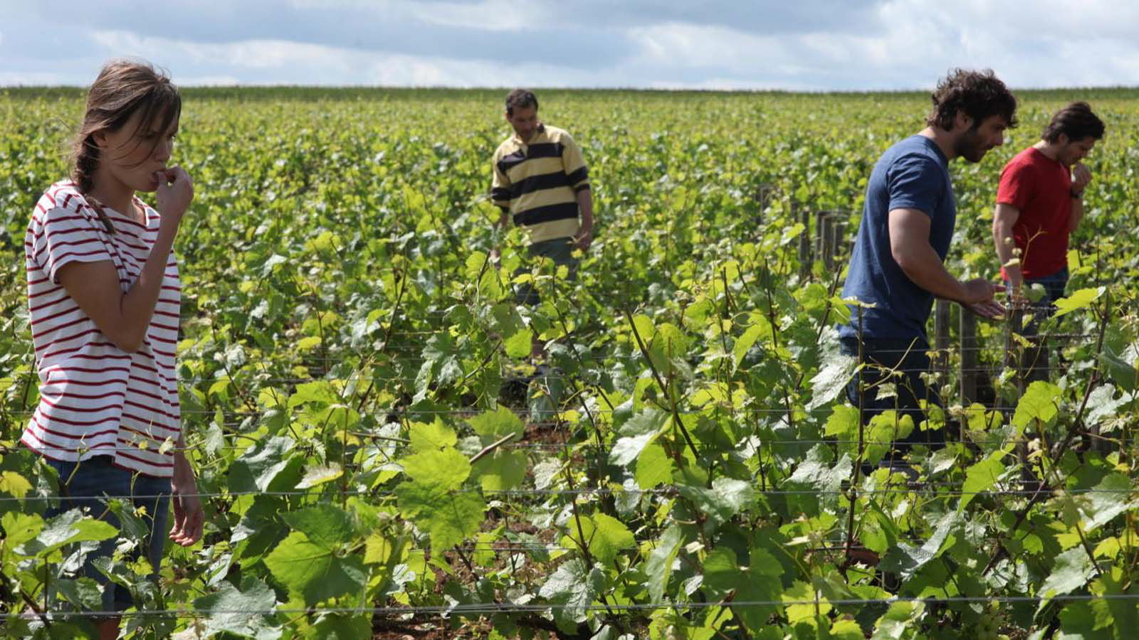 BACK TO BURGUNDY - AİLE BAĞI 10 yıl dünyayı dolaştıktan sonra Jean doğup büyüdüğü kasabaya geri döner. Babası hastalanmıştır. Kız kardeşi Juliette ve erkek kardeşi Jeremie ile de