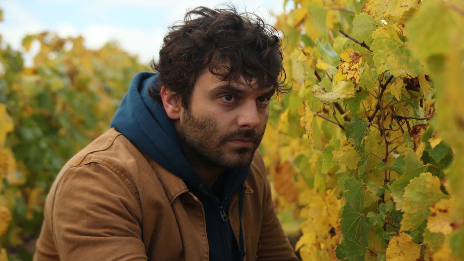 BACK TO BURGUNDY - AİLE BAĞI 10 yıl dünyayı dolaştıktan sonra Jean doğup büyüdüğü kasabaya geri döner. Babası hastalanmıştır. Kız kardeşi Juliette ve erkek kardeşi Jeremie ile de