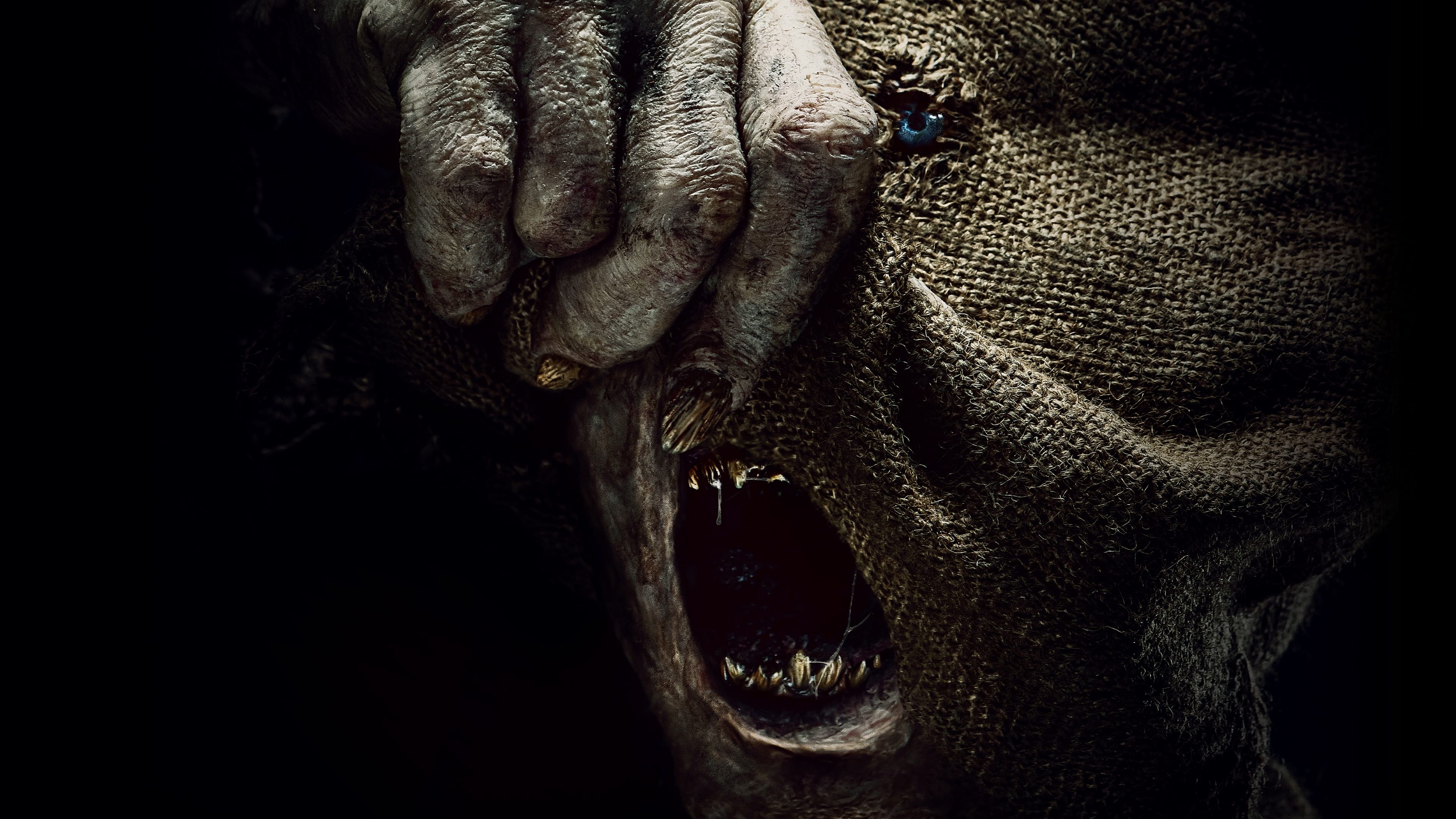 BAGHEAD - MAHZEN (2023) Mahzen, kendisine miras kalan barın mahzenindeki yaratıklardan kurtulmaya çalışan bir kadının yaşadıklarını konu ediyor. Babasının ölümünün ardından Iris, kendisine köhne bir barın miras kaldığını öğrenir. Mirası devralan Iris, o andan itibaren barın mahzeninde yaşayan ve ölülerin şeklini alabilen “Çuval Kafa” isimli yaratıkla ilgilenmek zorunda kalır. İnsanlar, 2 bin sterlin ödeyerek ölen sevdiklerini iki dakika da olsa görebilmektedir. Babası gibi yaratığın gücünden yararlanmak isteyen Iris’in ilk müşterisi karısını kaybetmiş olan Neil olur. Ancak işler Iris’in hiç de düşündüğü gibi gitmez ve yaratık onu yok etmeden önce ondan kurtulmanın yolunu arar.