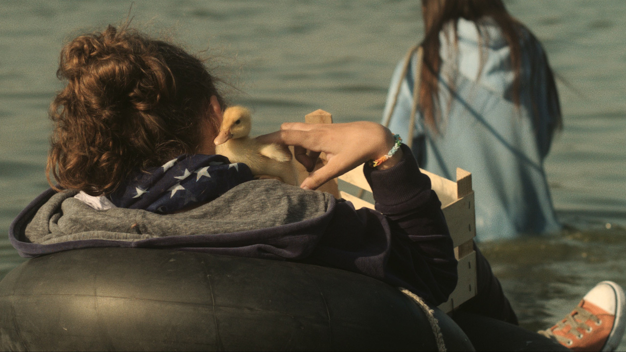 BIRDS OF PASSAGE - ARKADAŞIM ÖRDEK Cathy (Clarisse Djuroski), 10. yaşgününde hediye olarak bir ördek yumurtası alır. Ördek, yumurtadan çıkınca Cathy’i en iyi arkadaşı, tekerlekli sandal