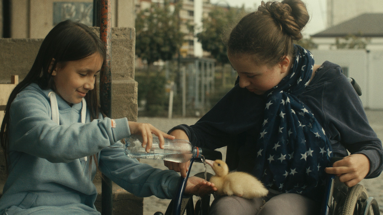 BIRDS OF PASSAGE - ARKADAŞIM ÖRDEK Cathy (Clarisse Djuroski), 10. yaşgününde hediye olarak bir ördek yumurtası alır. Ördek, yumurtadan çıkınca Cathy’i en iyi arkadaşı, tekerlekli sandal