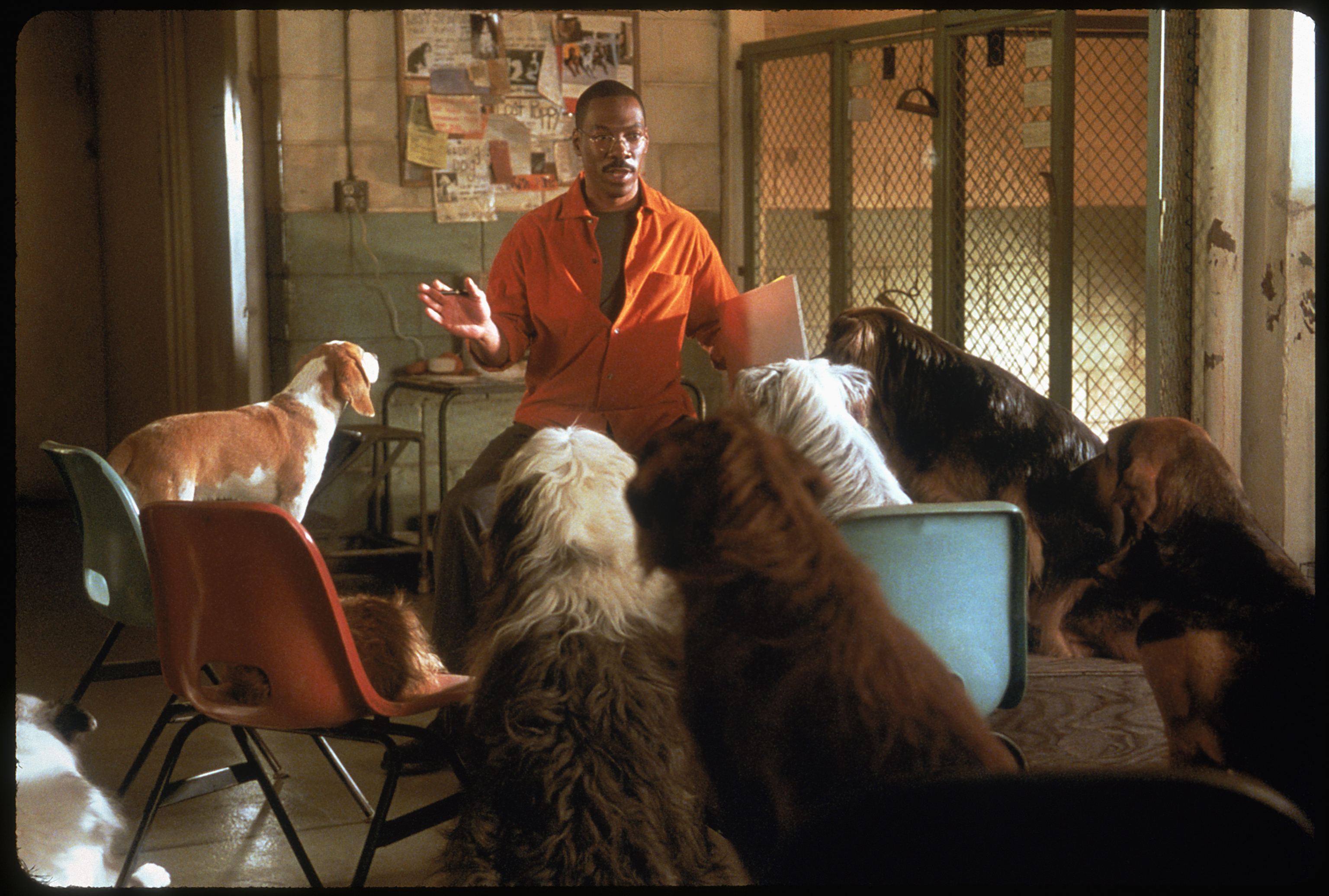 DOCTOR DOLITTLE 2 - DOCTOR DOLITTLE 2 Hayvanlarla konuşma yeteneğine sahip Dr. Dolittle (Eddie Murphy), bu kez vahşi hayvanlara yardım ediyor. Archie, fast-food ile beslenen ve vahşi doğad