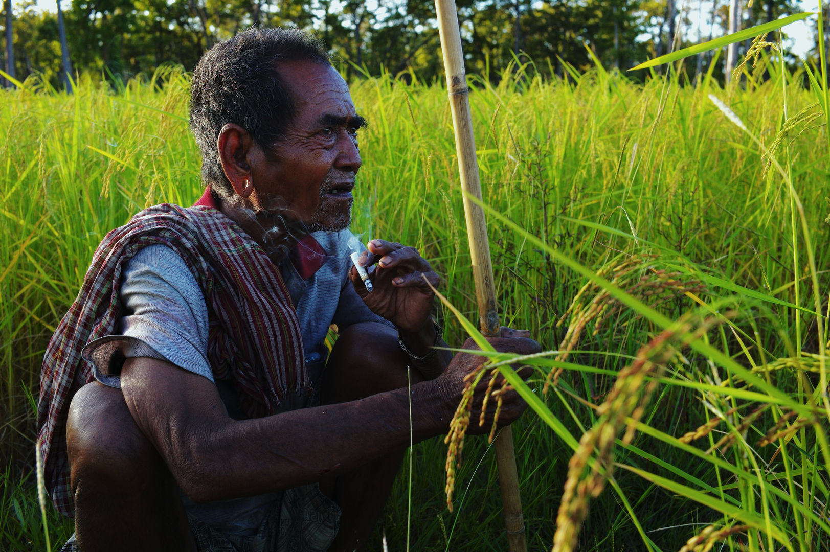 LAST OF THE ELEPHANT MEN - SON FİL ADAM Kamboçya – Vietnam sınırında bulunan Bunong’da yaşayan insanlar, yüzyıllardır fillerle yaşamakta ve onlarla aynı kaderi paylaştıklarını düşünmektedirl