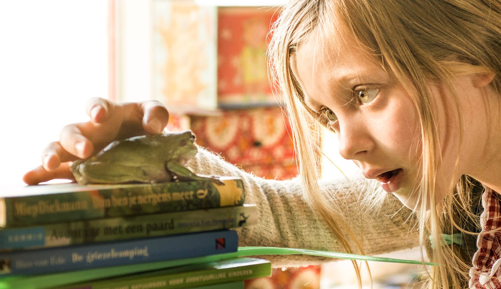 MR. FROG - BAY KURBAĞA Bir öğretmen, öğrencilerine büyük bir sır verir. Adam, bazen bir kurbağaya dönüşmektedir. İki öğrenci, öğretmenlerinin bu sırrını sonsuza dek saklamak