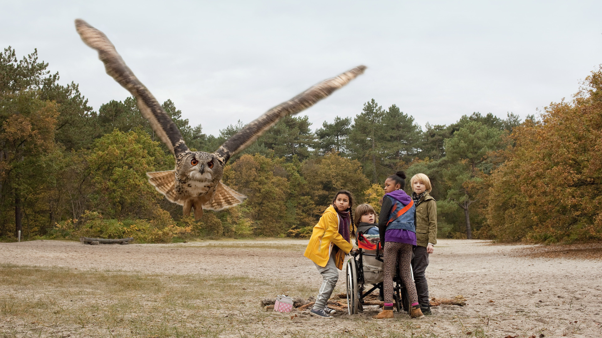 OWLS & MICE - BAYKUŞLAR VE FARELER 8 yaşındaki Meral, yeni bir kasabaya taşınmıştır. Ancak okulda yeni arkadaşlar edinmek sandığından daha zordur. Odasında yaşayan küçük bir fare ile do