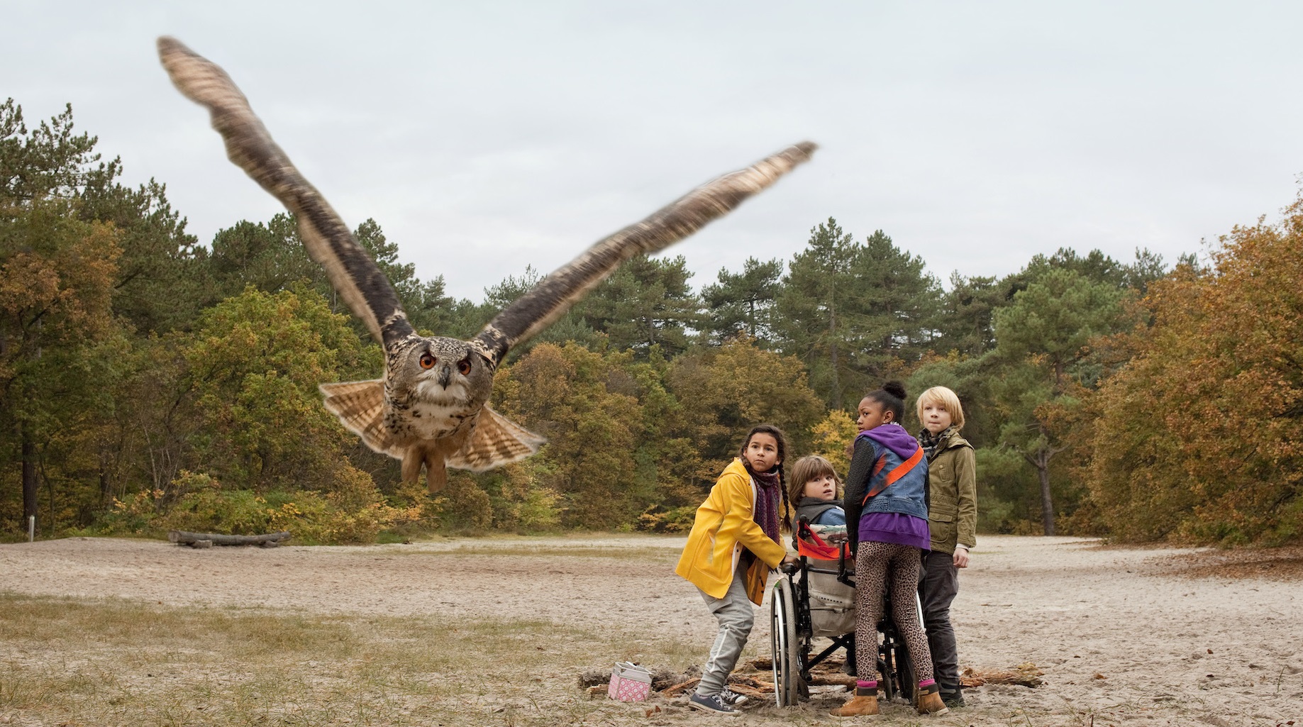 OWLS & MICE - BAYKUŞLAR VE FARELER 8 yaşındaki Meral, yeni bir kasabaya taşınmıştır. Ancak okulda yeni arkadaşlar edinmek sandığından daha zordur. Odasında yaşayan küçük bir fare ile do