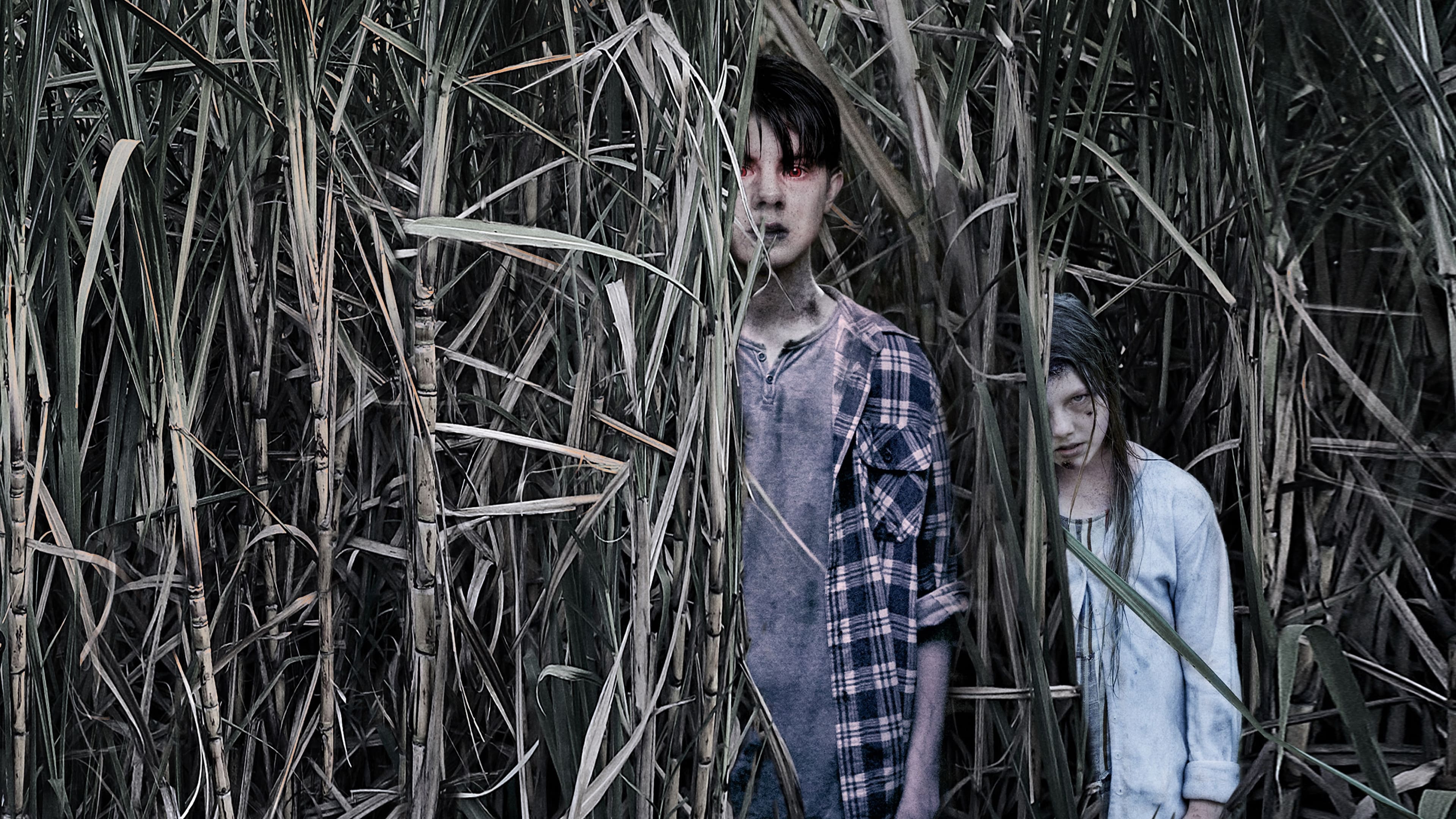 SWEET RIVER - DERİN NEHİR Hannah oğlunun cesedini araması Billins'e götürülür; araştırmaları beklediğinden daha fazlasını ortaya çıkarır ve sonrasında kasabanın karanlık sırlarını açığa çıkarmakla tehdit eder ...