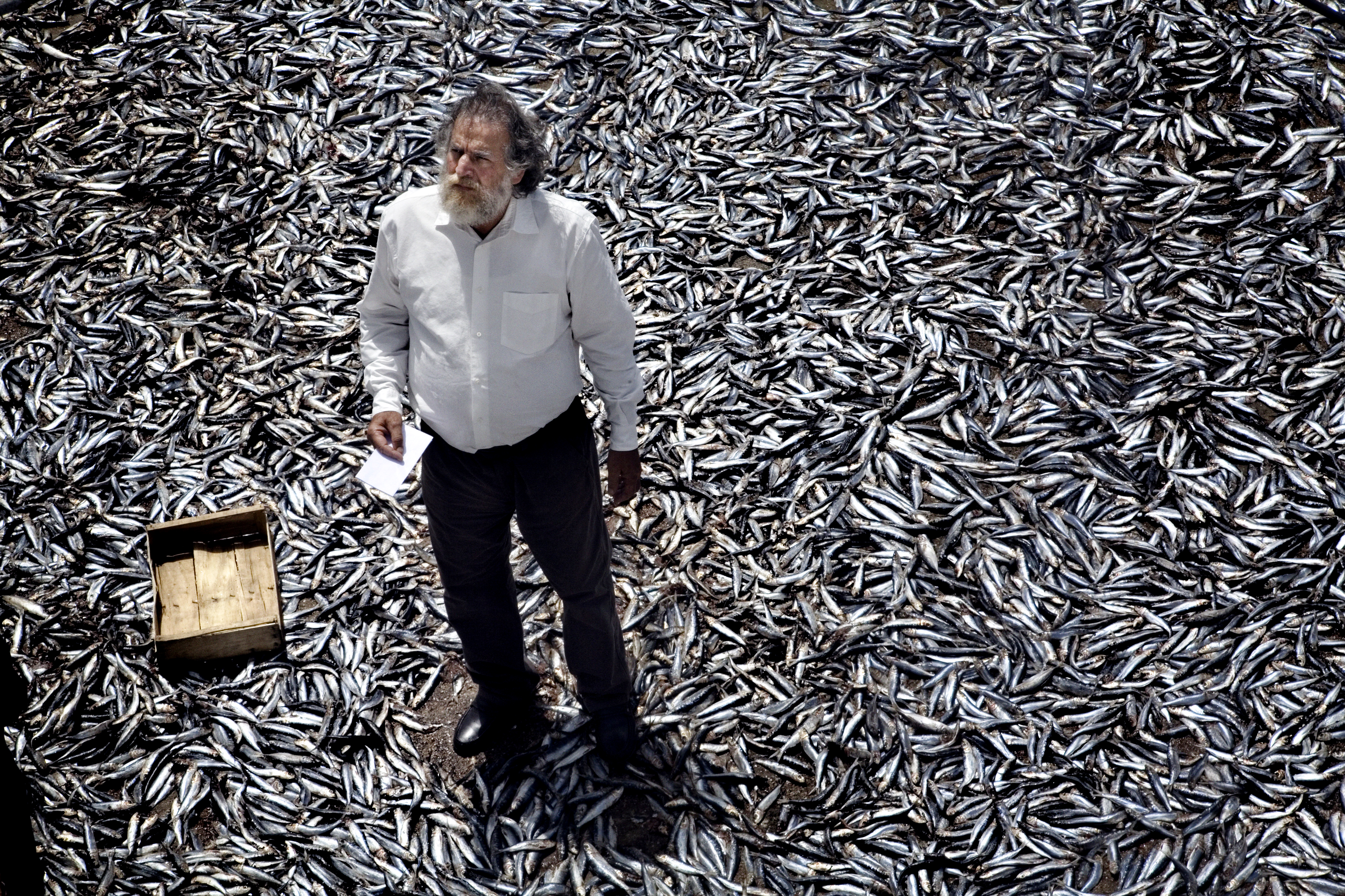 TERRAFERMA - MEMLEKET Anakaradan uzakta, Sicilya açıklarındaki Linosa adası küçük bir balıkçı topluluğuna ev sahipliği yapmaktadır. Yasadışı göçmenlerin gelişiyle buradaki ailelerden birinin düzeni bozuluverir. Bir balıkçı ailesi, batmakta olan bir gemiden kurtulan Etiyopyalı bir kadın ve çocuğunu, hapse atılma riskine rağmen evlerine alır. Kadın doğum yapınca ve ailenin teknesine el konunca hayatları daha da karmaşık hale gelir.