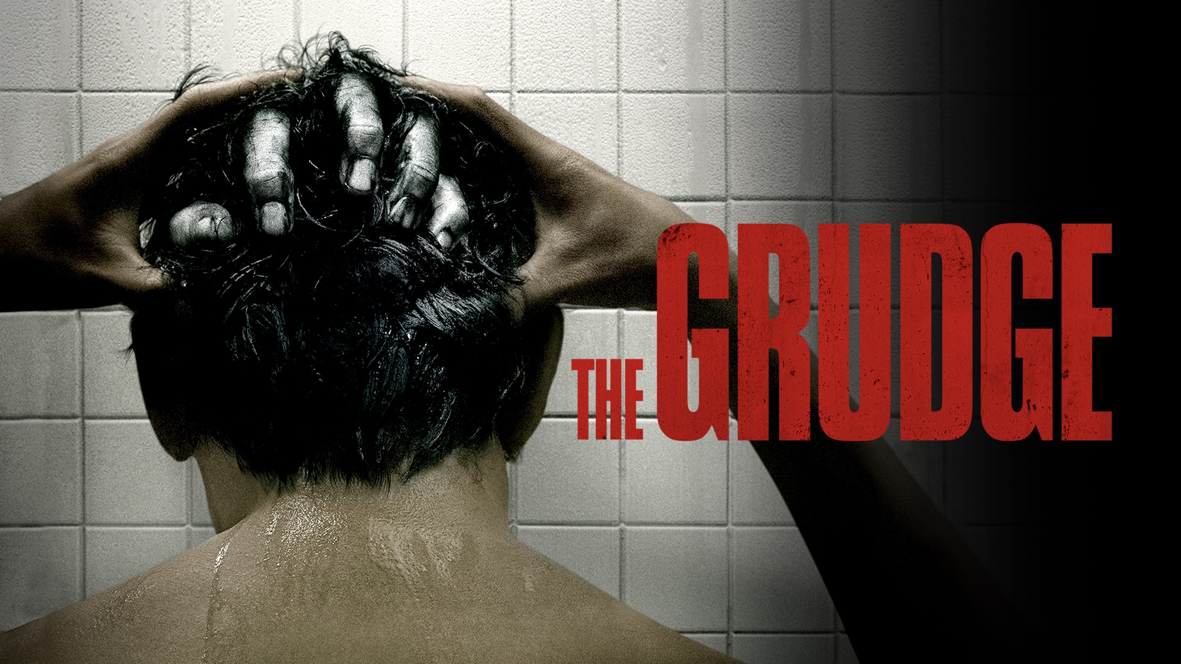 THE GRUDGE - GAREZ Bekar bir anne, genç bir dedektif ile mahallesinde bulunan evde yaşanan bir cinayeti araştırmaya başlar. Banliyöde bulunan evin sahibi genç kadın, tüm ailesini evin içinde katletmiştir. Olayı incelemekle görevlendirilen dedektif ve kadın, araştırmalarını ilerlettikçe evin, içinde yaşayanları ölüme mahkum eden bir hayalet tarafından lanetlendiğini keşfeder. Mahallesindeki laneti öğrenen bekar anne, kendisini ve oğlunu lanetli evdeki şeytani ruhlardan kurtarmak için zorlu bir mücadeleye girişir.