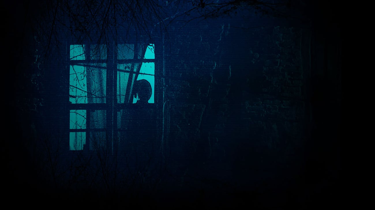 KARADEDELER OLAYI - KARADEDELER OLAYI 1989 yılında gazeteler bir köyde yaşanan garip olaylar hakkında yayınlanan bazı haberler, genç gazeteci H.B’nin ilgisini çeker. Köye giden gazeteci, oldukça korkmuş ve gergin köylülerden gece köyün çevresinde dolaşan yaratıklar olduğunu, köyün bir şekilde cinler tarafından basıldığını öğrenir. H.B., birkaç hafta köyde kalır ama olağanüstü bir şey görmeyince kamerasını köydeki bir gence emanet ederek İstanbul’a geri döner. Üç gün sonra ise köyün jandarmaları tarafından gözaltına alınır: kamerasını emanet ettiği genç de dâhil olmak üzere köyden 7 kişi parçalanarak öldürülmüştür. H.B ifadesi alındıktan sonra serbest bırakılır ama bütün eşyaları ormanda terk edilmiş olarak bulunur; kayıplara karışır. Tüm bu esrarengiz süreç boyunca kameralar kayıttadır…