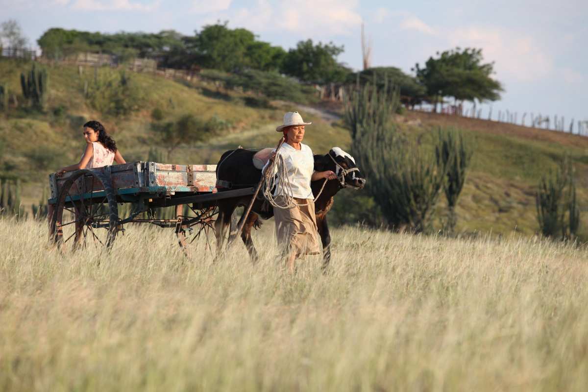 TWO WOMEN AND A COW - İKİ KADIN VE İNEK Rosana, aylardır haber alamadığı oğlu Pastor’dan bir mektup alır. Postor’un karısı Hermelinda’yı da alarak en yakın köye, okuma yazma bilen birini bul