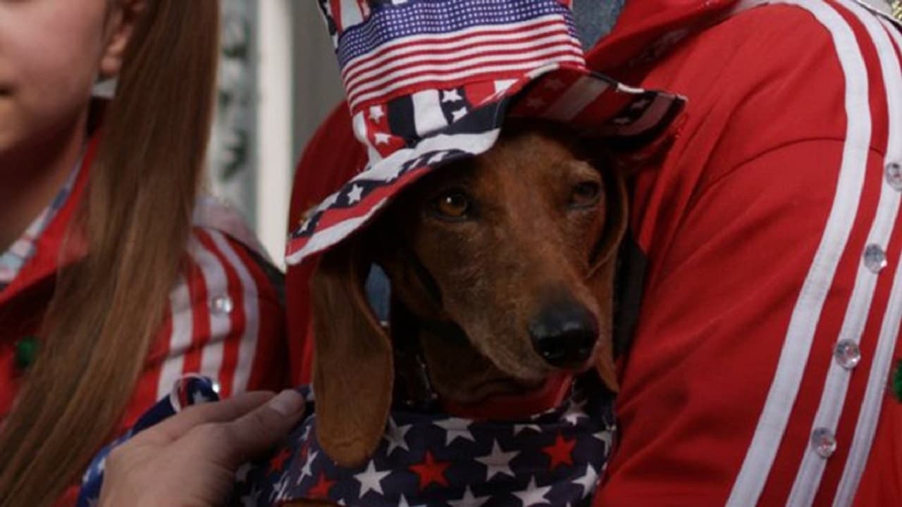 WIENER DOG INTERNATIONALS - SOSİS KÖPEKLER YARIŞIYOR Jack Ailesi, köpekleri ‘Shelly’ ile Uluslararası Köpek Yarışı’na girmeye karar verirler.  Çocuklar, yarışmada Shelly'ye destek olmak için gizlice kaçarlar ve kendilerini Bayan Merryweather'ın köpek yarışlarını sonsuza kadar değiştirebilecek sinsi bir planının içinde bulurlar!