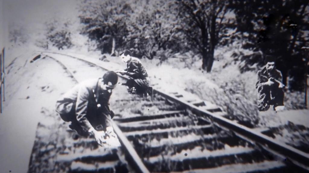 Bu belgesel, D-day’den Adolf Hitler’in yükselişinin ardındaki gizeme kadar, II. Dünya Savaşı’nda yaşanan tarihsel olayların az bilinen gerçeklerine odaklanıyor. Ünlü tarihçilerin röportajları ve dönemin görgü tanıklarının  ifadeleriyle harmanlanmış görüntüler, II: Dünya Savaşı'nın gizli kalmış hikayelerine ışık tutuyor. 