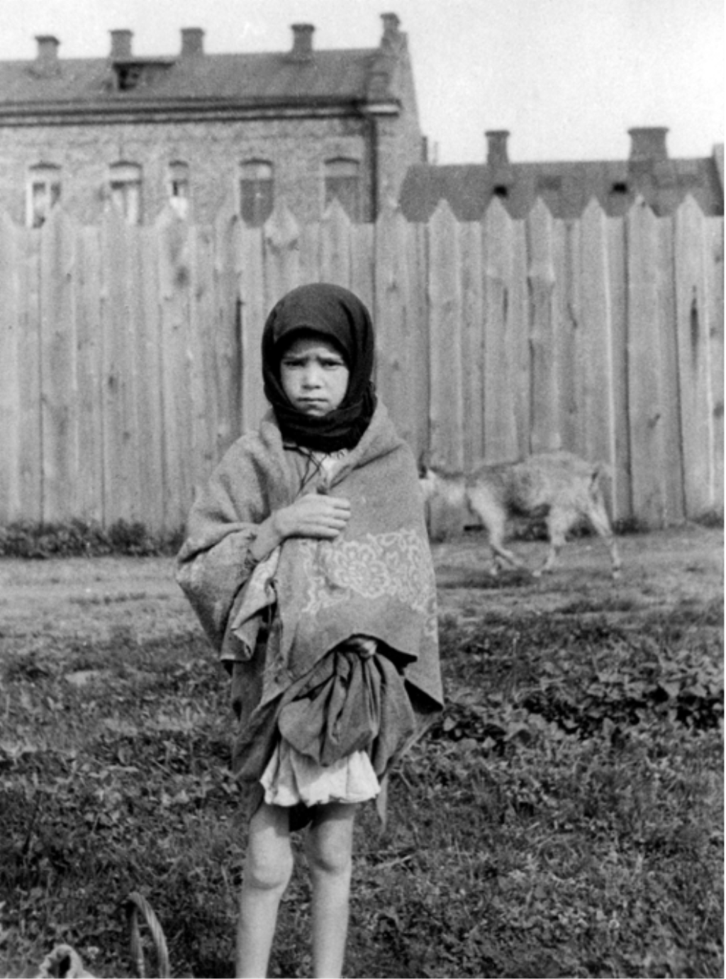 Genç bir Galli gazeteci olan Gareth Jones, Mart 1933'te kaçak yollarla Ukrayna'ya girdi. O dönemde bölgede, daha önce benzeri görülmemiş bir kıtlık yaşanıyordu. Gizli tutulan ve Stalin tarafından karar verilen bu kıtlık siyasiydi. Gazeteci dönüşünde dünyayı uyarsa da yalanlanır ve Sovyet manipülasyonu zafer kazanır. Bu, devlet aygıtına karşı bir sorgulama ve konuşma gücünün hikayesidir. Belgesel kitlesel bir yalan ve suçun öyküsünü gözler önüne seriyor. 