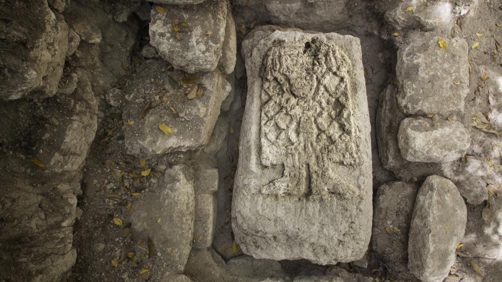 Naachtun, Maya uygarlığının altın çağındaki son şehirlerinden biri. Hakkında çok az bilgiye sahip olduğumuz bu şehirle ilgili arkeologlar birkaç yıl önce kazı çalışmaları başlattılar. 200 yıl içinde ufak tefek kalıntılar dışında çöken Maya uygarlığına rağmen Naachtun, Guetemala’nın tropik ormanlarının ortasında nasıl izole olabildi? Araştırmacılar bunu araştırırken, tarihin bu döneminde yaşamış insanlara da yeni bir ışık tutuyor. 
İddialı kaynaklar kullanılarak, 4K HD kamera, dronelar ve ileri teknoloji grafiklerle bilimsel çalışmaların derinliği ve heyecan dolu bir macera harmanlıyor. Bu belgesel, sıra dışı bir destan vadediyor. 
