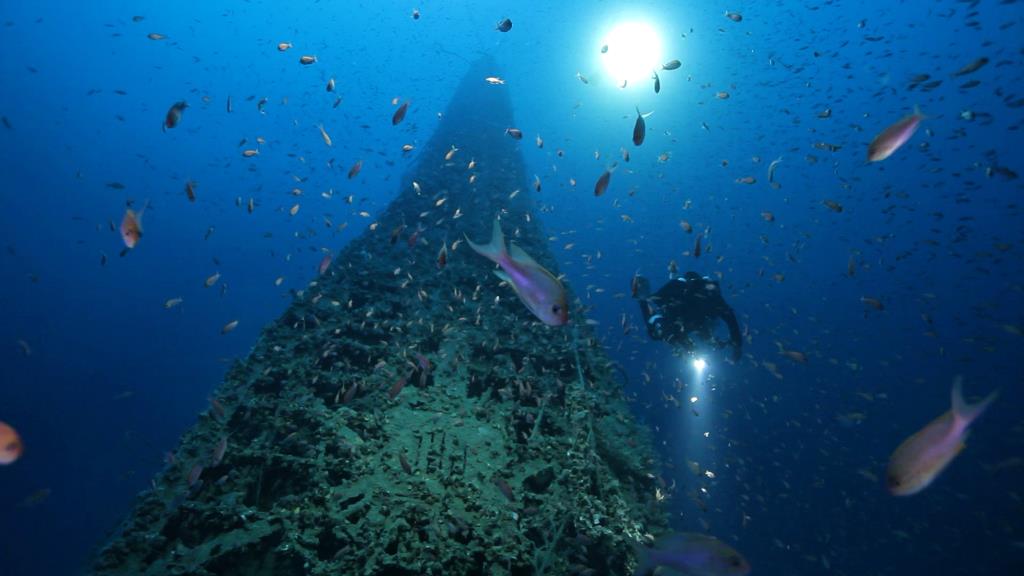 Alman denizaltısı U-455, İtalya açıklarında 120 metre derinlikte bulundu. Batık denizaltı, su altında on yıllar geçirmişti. Peki hikayesi neydi? Neden bu sularda batmıştı? Belgesel, denizaltının Baltık Denizi'nden Atlantik'e ve son olarak da Akdeniz'e kadar uzanan hikayesinin izini sürüyor. 

