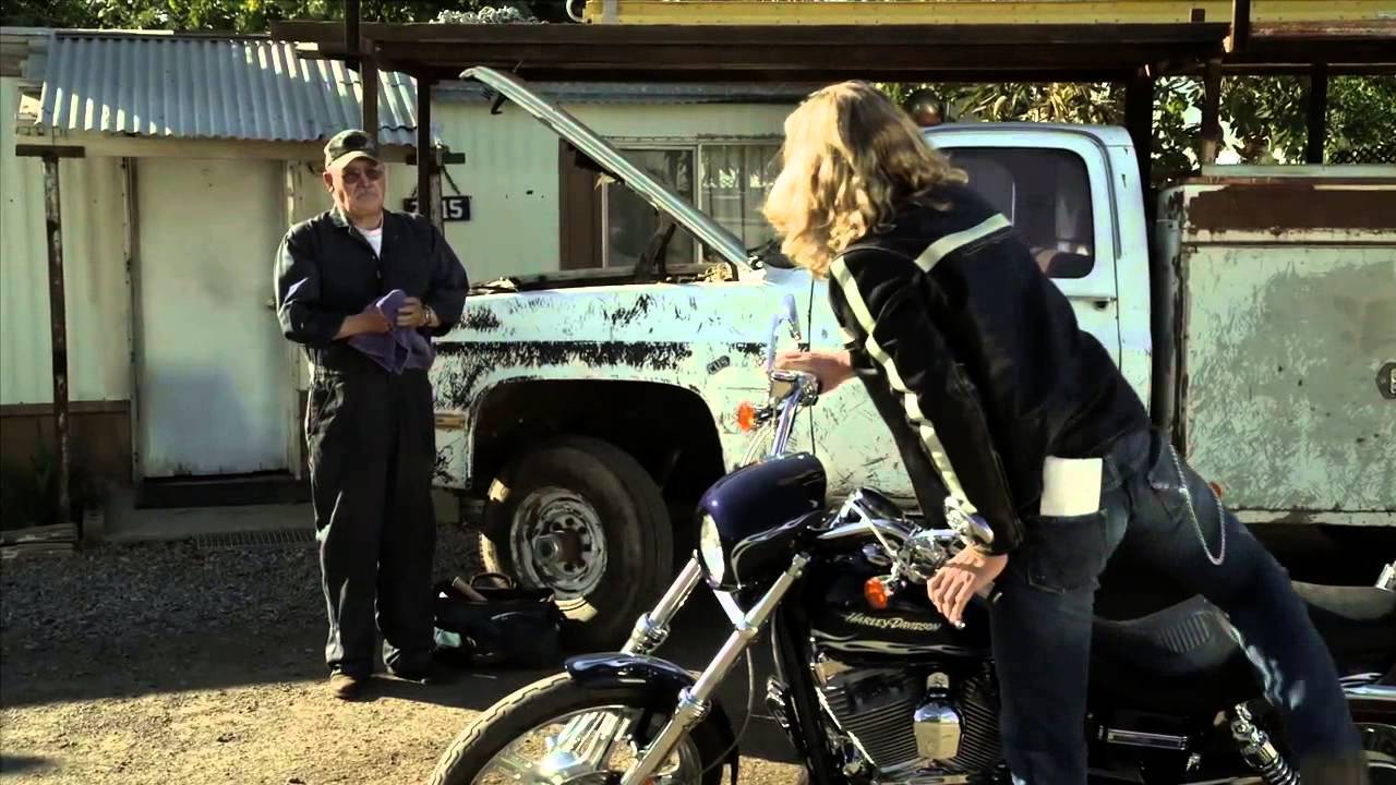 BORN WILD VAHŞİ DOĞANLAR