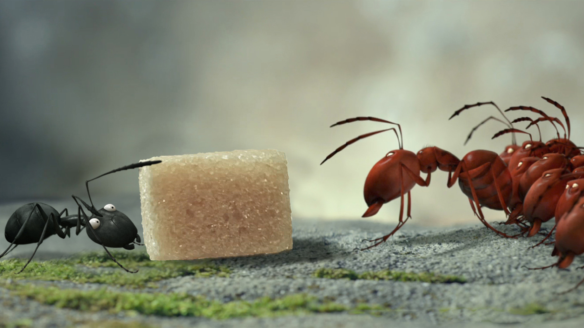 minuscule-valley-of-the-lost-ants-kay-p-kar-ncalar-vadisi