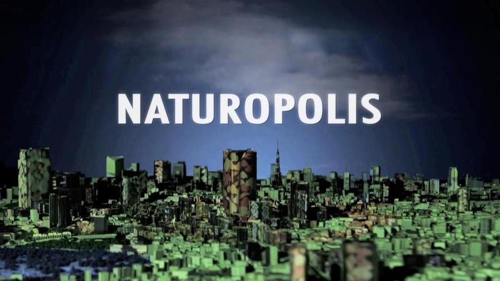 2008'in sonu insanlık tarihinde önemli bir değişime işaret etti: artık ağırlıklı olarak kentlerde yaşayan bir canlı türüyüz. NATUROPOLIS, insan eliyle yaratılmış bir ekosistemin başarısını sağlayabilecek en orijinal kentsel fikirlerin kalbine dalıyor. 21. yüzyılın en büyük meydan okuması burada duruyor.