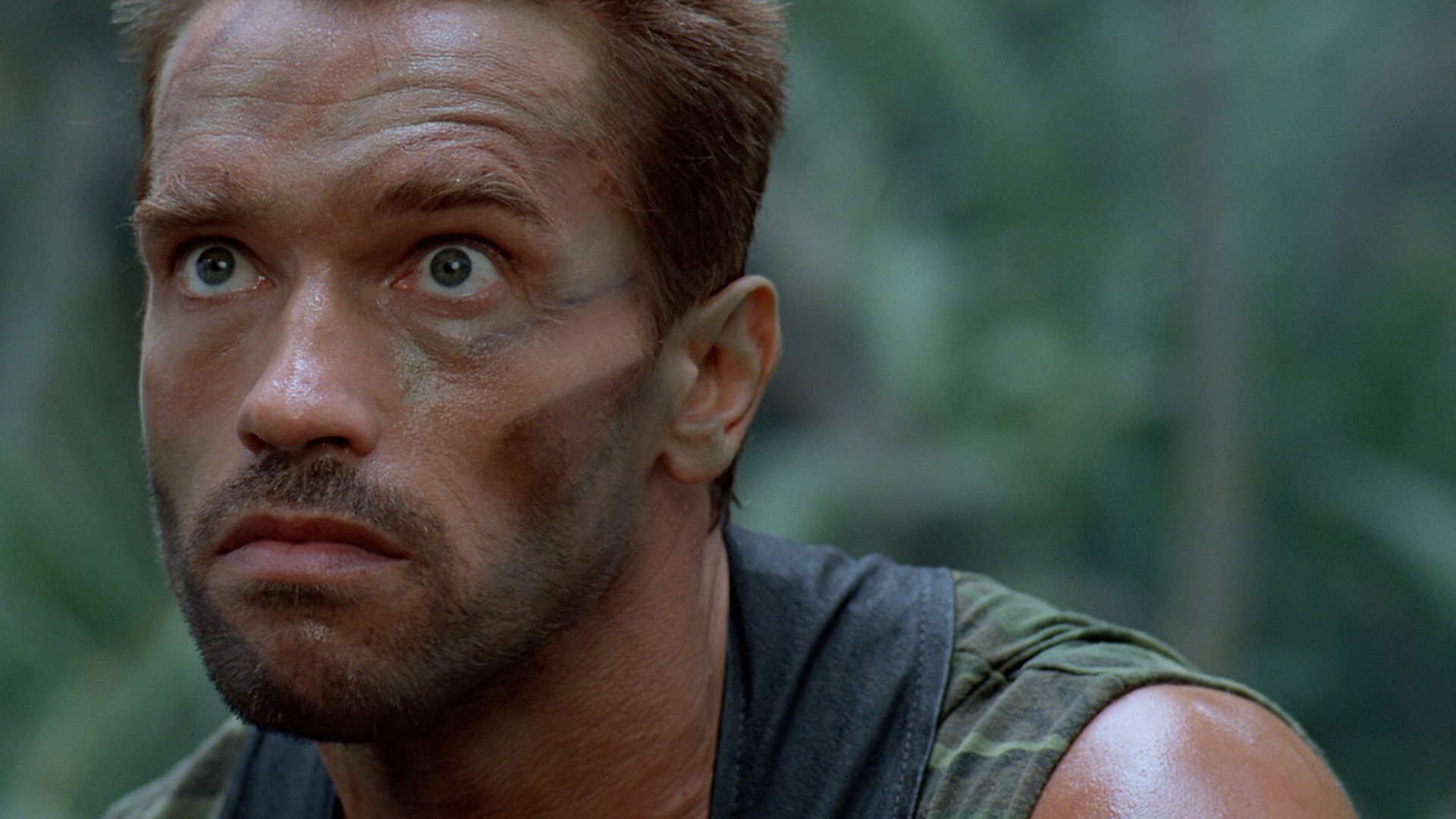 PREDATOR - AV